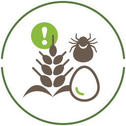 アレルギー疾患全般（アトピー性皮膚炎、食物アレルギー、アレルギー性鼻炎、気管支喘息等）